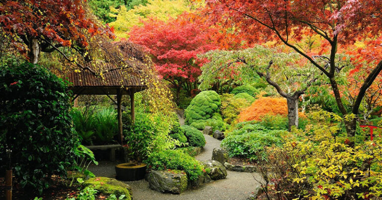 What to Grow in a Japanese Garden.