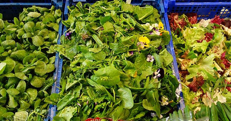 Why Cultivating One's Own Salad Greens Is Beneficial.