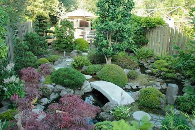 What to Grow in a Japanese Garden.