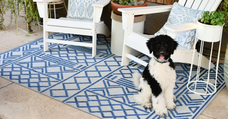 Boutique Rugs Featured Image